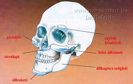 arcplasztika specialista plasztikai sebész ábra